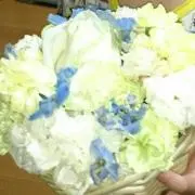 yuiの画像