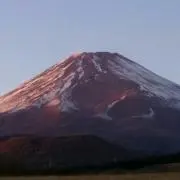 ボヤッキーの画像