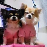 ma-maの画像