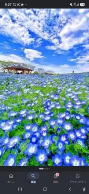 ハルさくらショップの画像