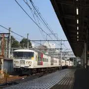 185 KODAMAの画像