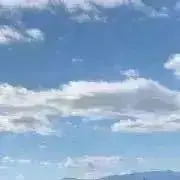 N432の画像