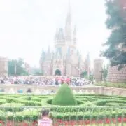 ミミ