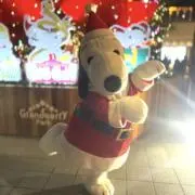 かえで