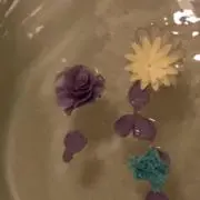 まちゃの画像