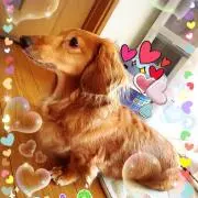 ゆかちん