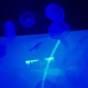 あんmamaプロフ必読！！