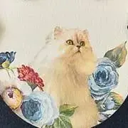 ここの画像