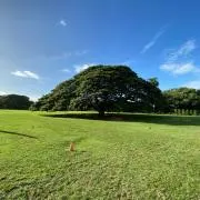 Hiroの画像