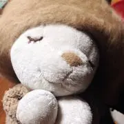 マメの画像