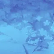 時の画像