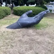 あひるの画像