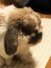 take　紹介文確認ください。の画像