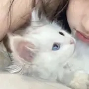 まどかの画像