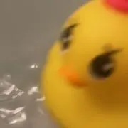 あんちゃんの画像