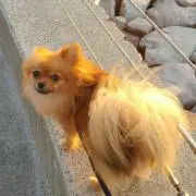 keietsuの画像