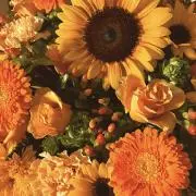 sunflower♡紙モノ整理中の画像