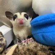 ひかるの画像