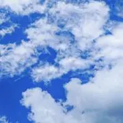 あじ