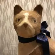 ネコ