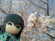 みかんの画像