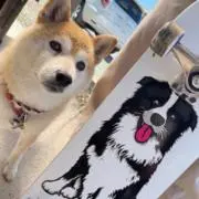 デイビッド