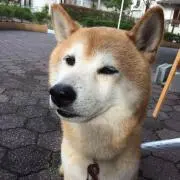 うあ 土日祝発送不可の画像