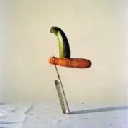 znrの画像