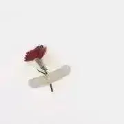 みるこの画像