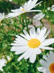 えあ☆断捨離の画像