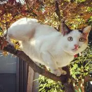 ちかの画像