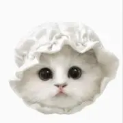 Riの画像