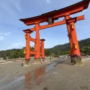 ❤︎.*あーたん❤︎.*の画像