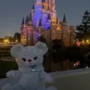 りんごちゃんの画像
