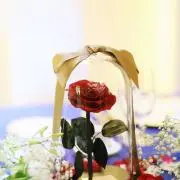 かんの画像