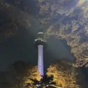 Reo૮ ・ﻌ・აの画像