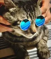 ダー梅パイセン