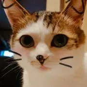 さくくめの画像