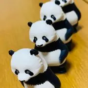 くるみん☆の画像