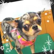 いっちゃん