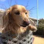りょう