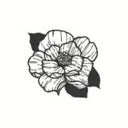 賽の画像