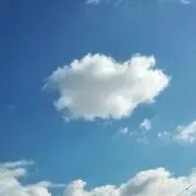 ♡ちゅうりっぷ♡