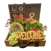 ✨✨ぼこぴん✨✨