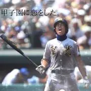 タコライス