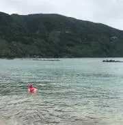 さるた