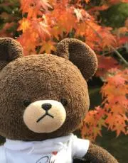 ちゃおりんの画像