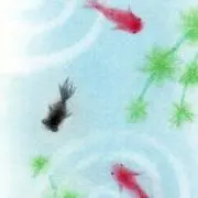 和　Nagomi