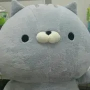 よつの画像