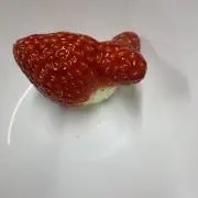 テルの画像